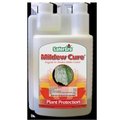 Safer Gro Safer Gro 4237P Mildew Cure All Natural Fungicide; 1 Pint 4237P